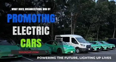 Boosting Sustainability: How Electric Cars Drive Organizational Success and Innovation