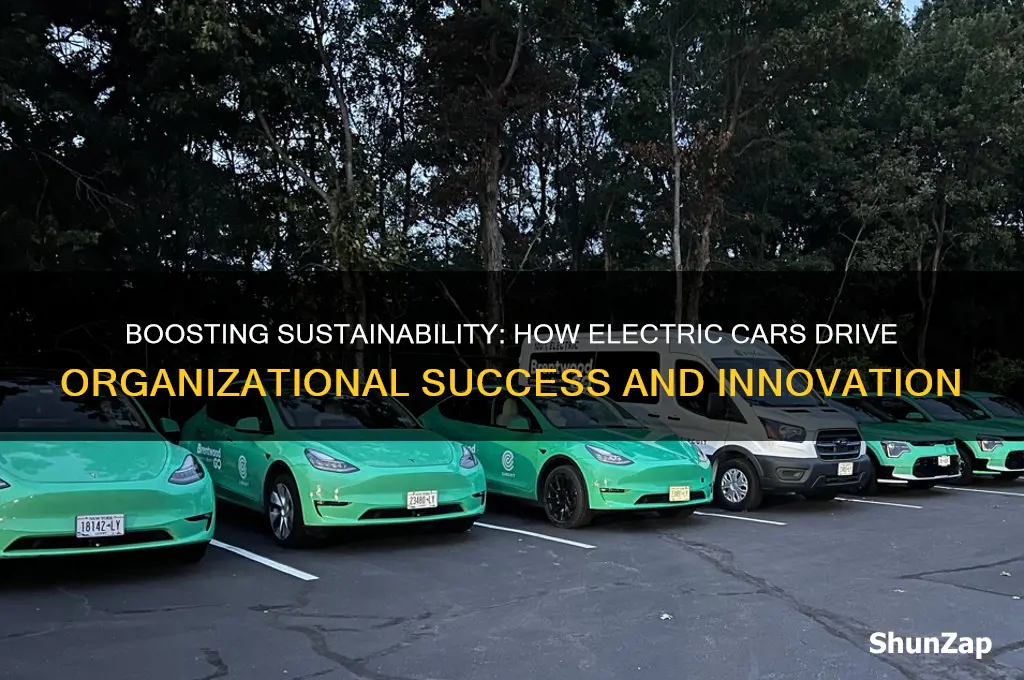 what does organizations win by promoting electric cars