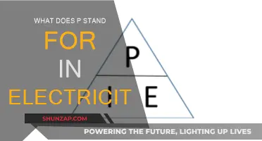 Electricity's P: Power, Physics, and Precision