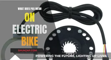 Electric Bike PAS: Understanding This Feature and Its Benefits