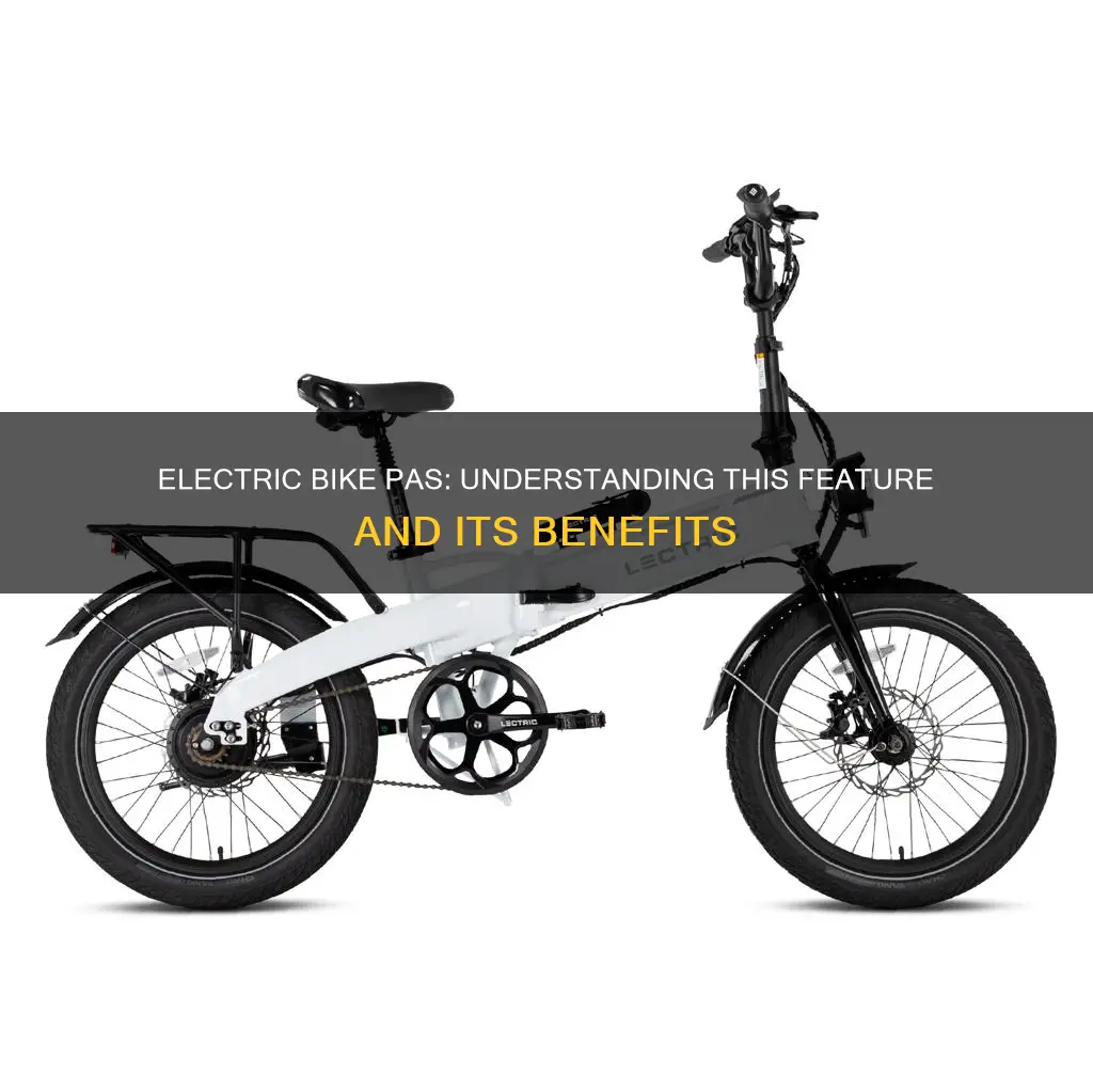 what does pas mean on electric bike