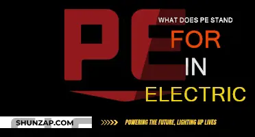 PE in Electrical Engineering: What Does It Mean?
