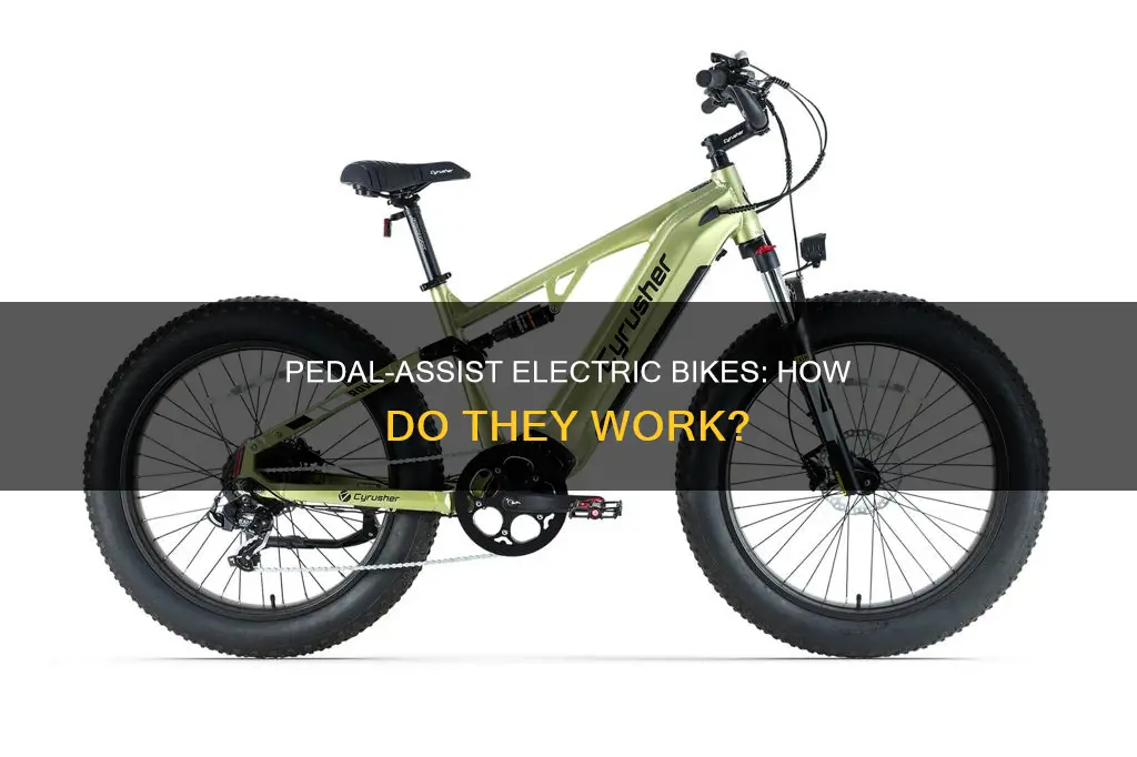 what does pedal assist mean for an electric bike