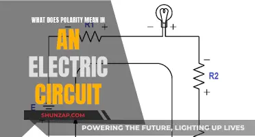 Understanding Polarity in Electric Circuits: Positive and Negative Charges