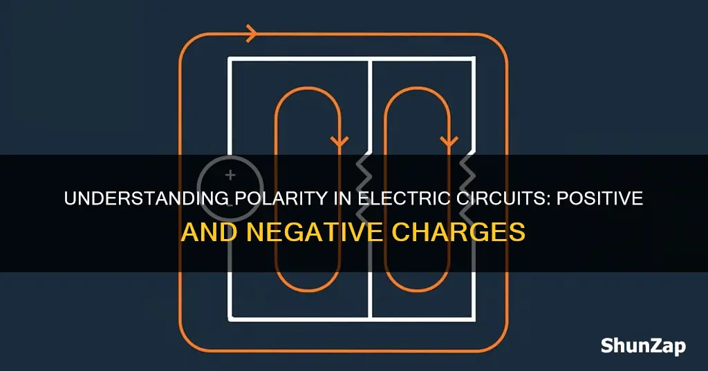 what does polarity mean in an electric circuit