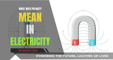 Understanding Polarity in Electricity: Positive and Negative Charges