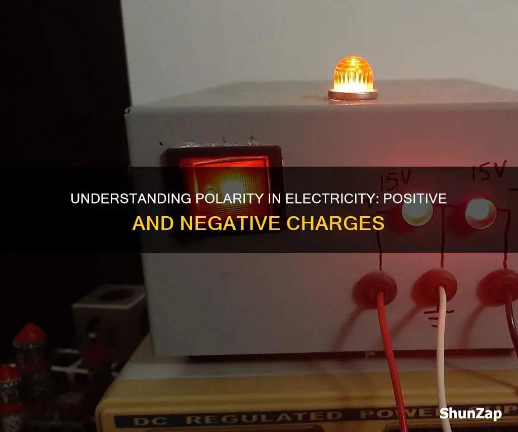 what does polarity mean in electricity