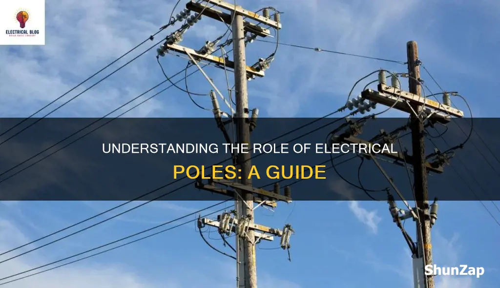 what does pole mean in electrical