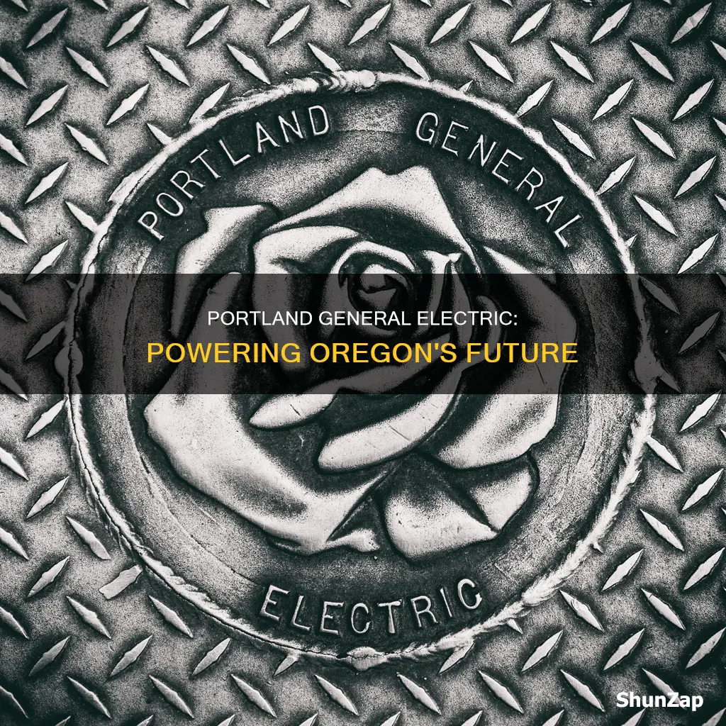 what does portland general electric company do