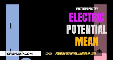 Understanding Electric Potential: Positive Voltage Explained
