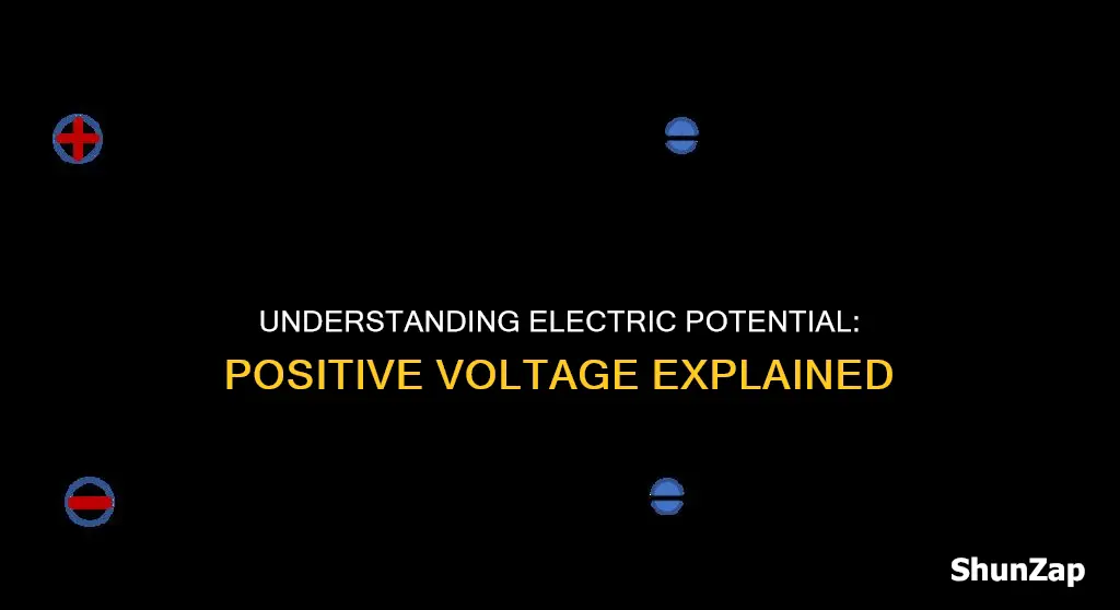 what does positive electric potential mean