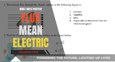Understanding Electric Flux: Positive Flux Explained