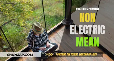 The Evolution of Primitive Non-Electric Living