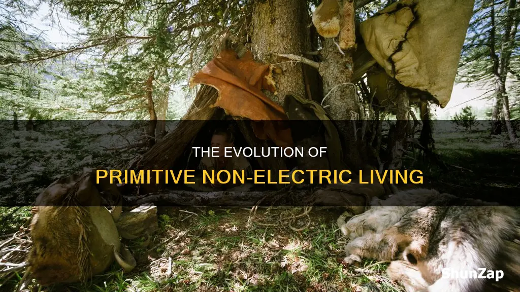 what does primitive non electric mean