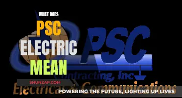 PSC Electric: Understanding the Power System's Complexities