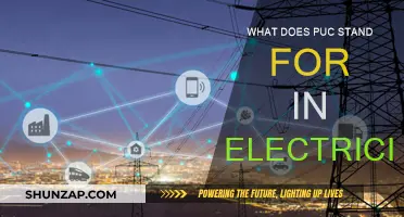 Understanding PUC: Electricity's Essential Acronym