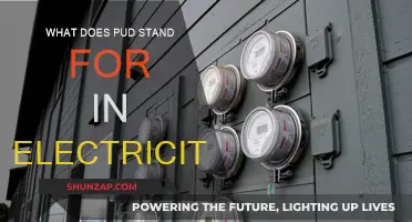 Understanding PUD: Electrical Power Usage and Distribution