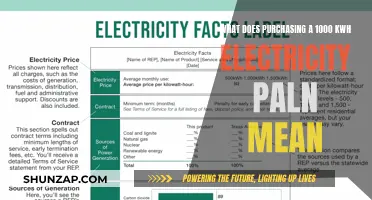 Understanding Your 1000 kWh Electricity Plan