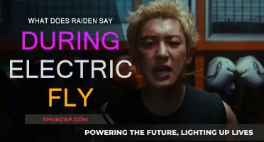 Raiden's "Electric Fly": Lyrics and Meaning