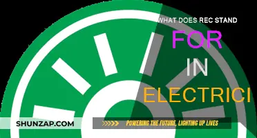 Electricity's REC: Understanding Renewable Energy Certificates