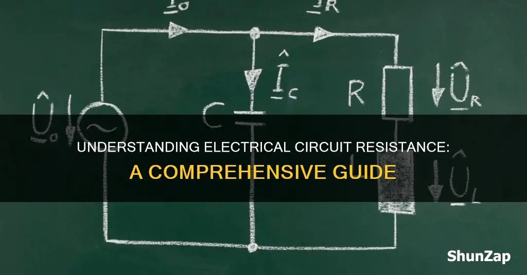 what does resistance in a electrical circuit mean