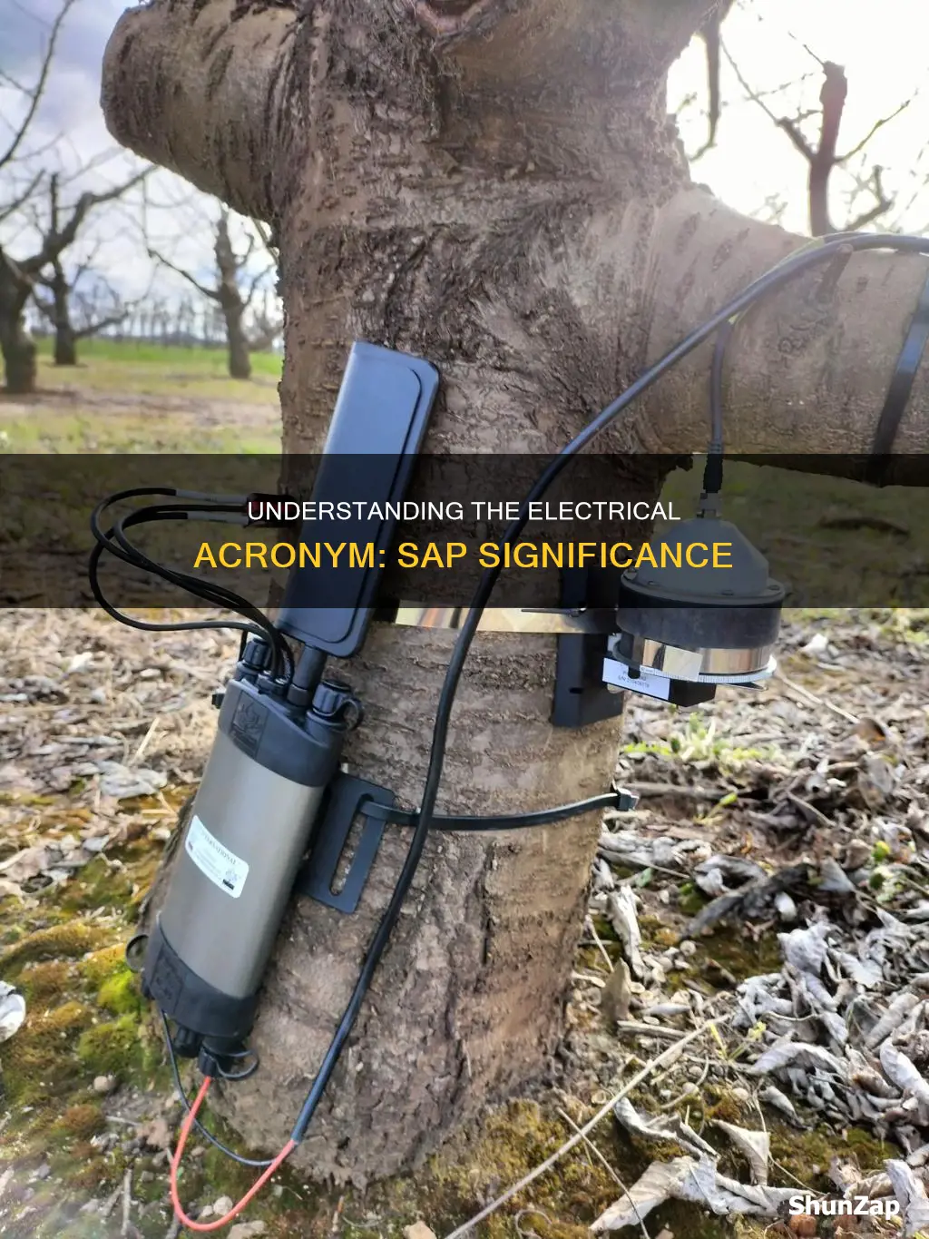 what does sap stand for in electrical