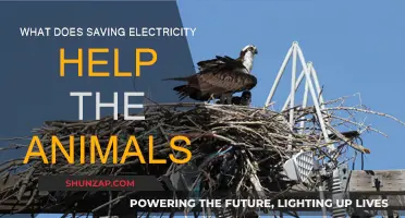 Conserving Energy, Saving Animals