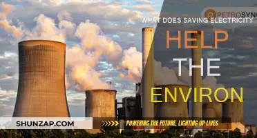 Conserving Energy, Saving the Planet