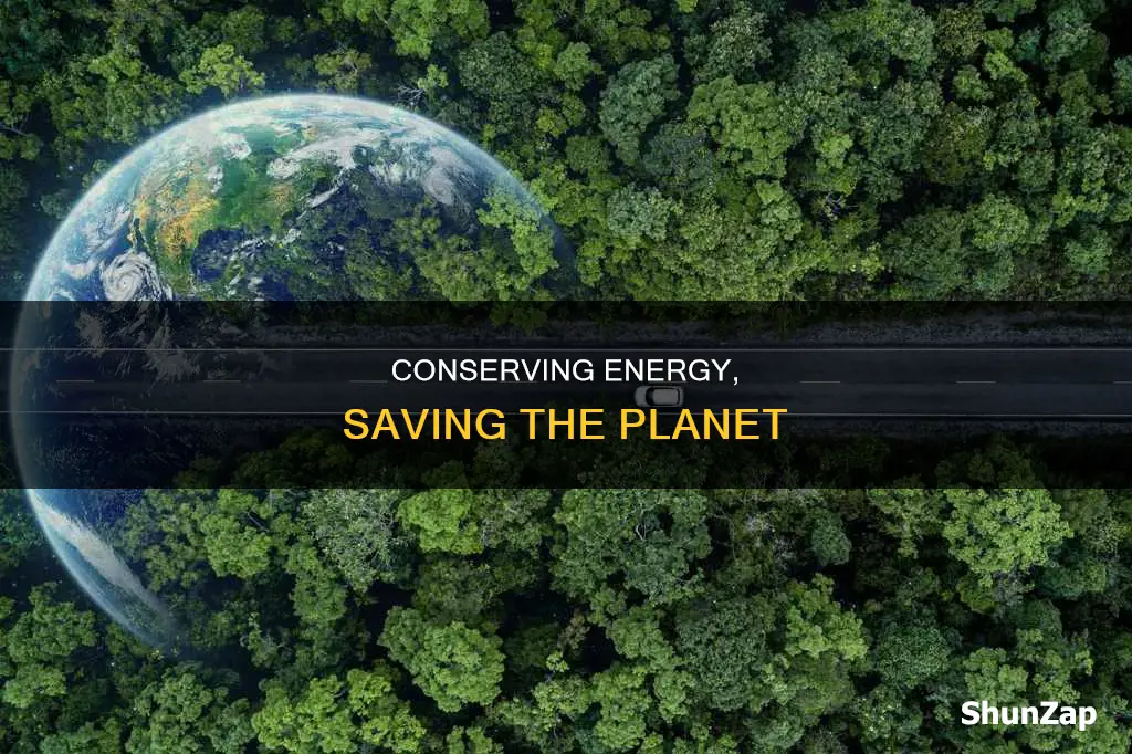 what does saving electricity help the environment