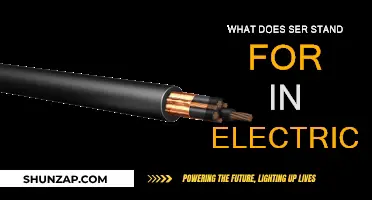 The Mystery Behind SER in Electrical Terms