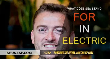 SES: What Does It Mean in Electrical Terms?