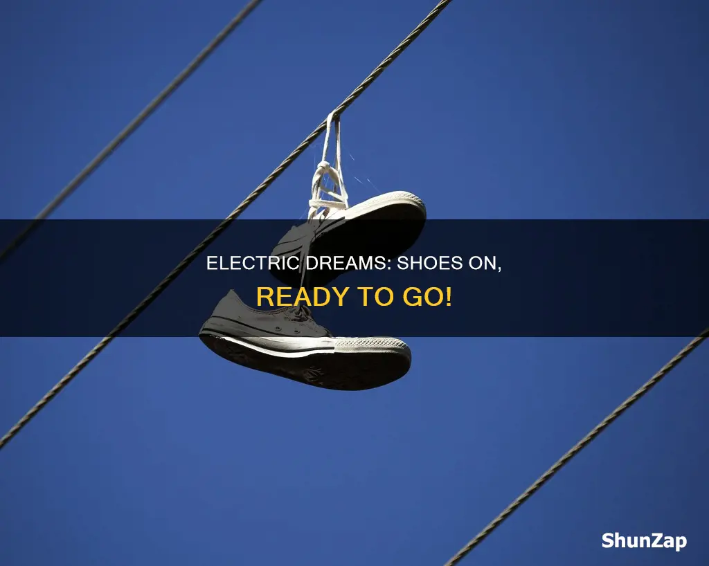 what does shoes on an electric mean