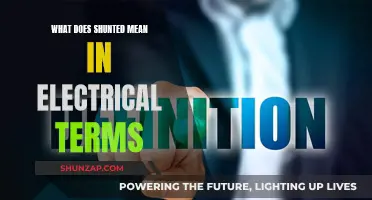 Understanding Shunted Electrical Connections and Their Meanings