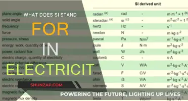 Understanding Electricity: SI Unit of Electric Current