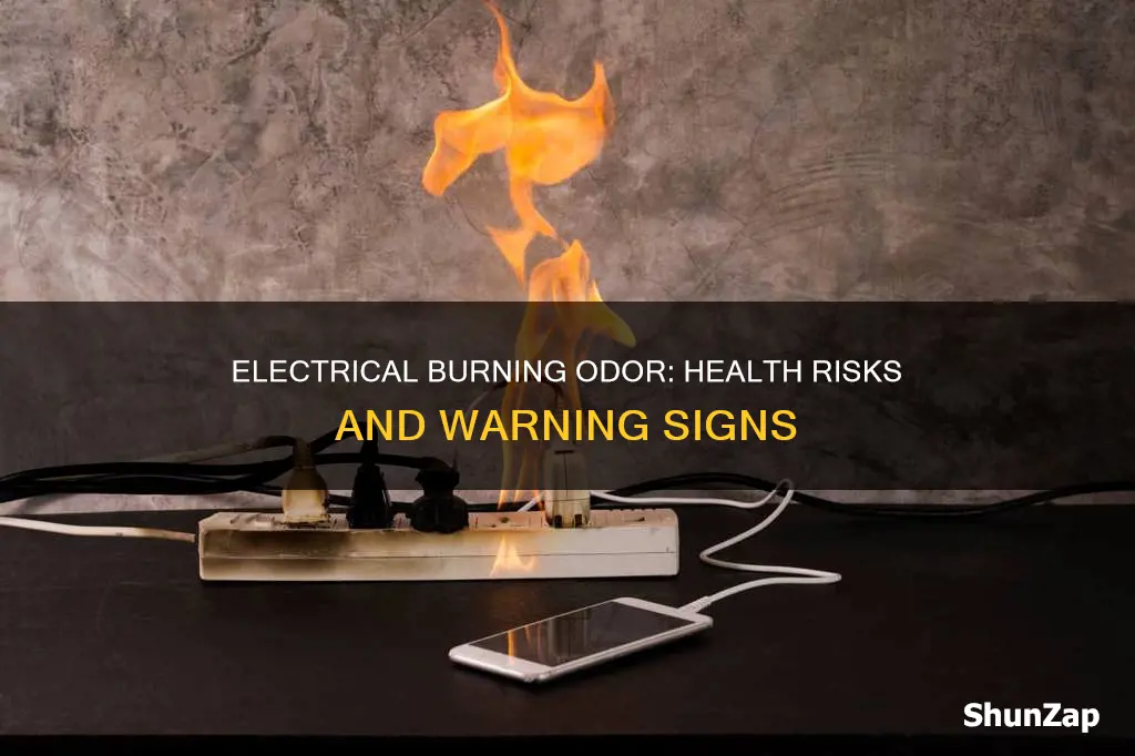 what does smelling electrical burning mean health wise
