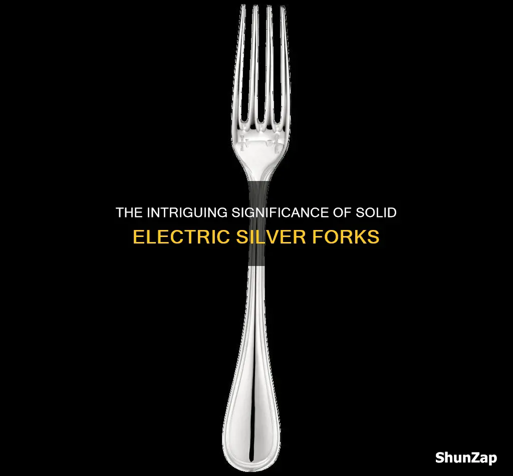 what does solid electric silver fork mean