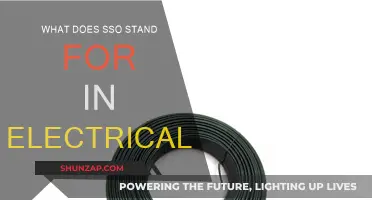 The Electrical System's SSO: What It Is and Why It Matters