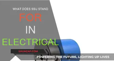 SSU: The Electrical System's Vital Component