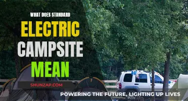 Electric Campsite Standards: What's Included in the Basics?