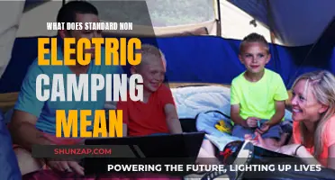 Non-Electric Camping: Back-to-Basics Outdoor Adventure