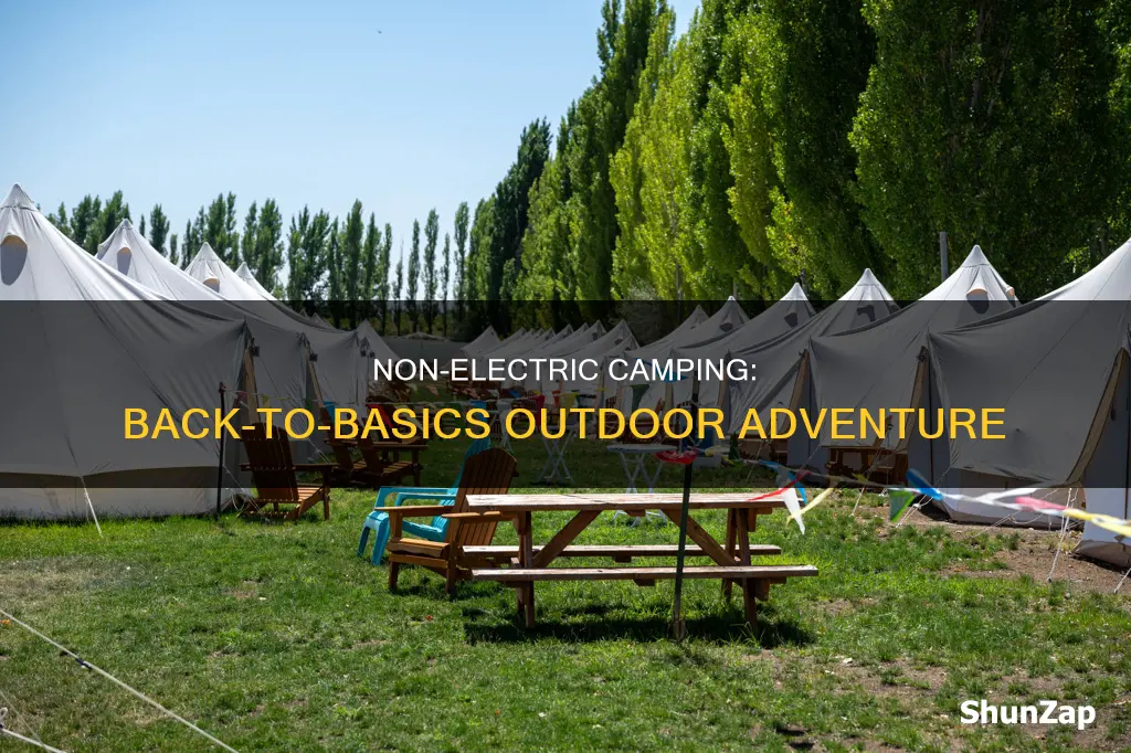 what does standard non electric camping mean