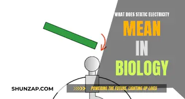 Understanding Static Electricity's Biological Significance and Applications
