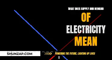 Electricity's Supply-Demand Dynamics: Understanding the Market Balance