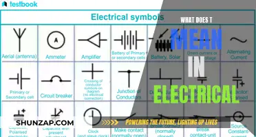 Understanding the Intricacies of 'T' in Electrical Terminology