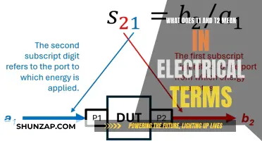 Understanding T1 and T2: Electrical Terminology Explained