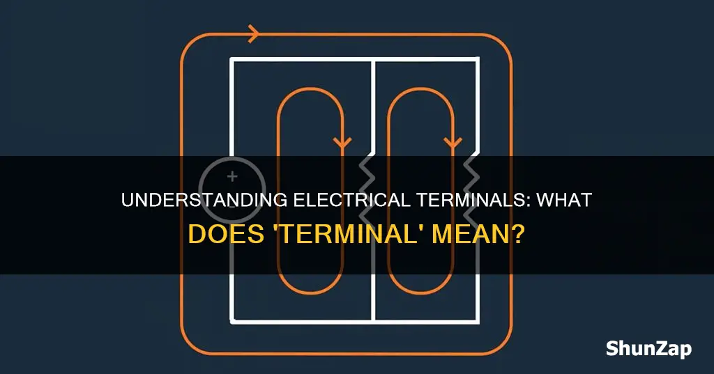 what does terminal mean in electrical science
