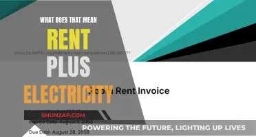 Renting 101: Electricity Costs and You