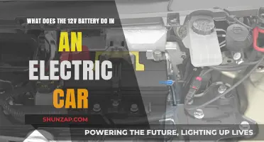 The Role of 12V Battery in Electric Vehicles Explained