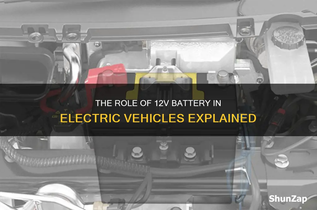 what does the 12v battery do in an electric car