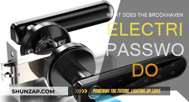 Unlocking Brookhaven's Secrets: The Electric Password Mystery
